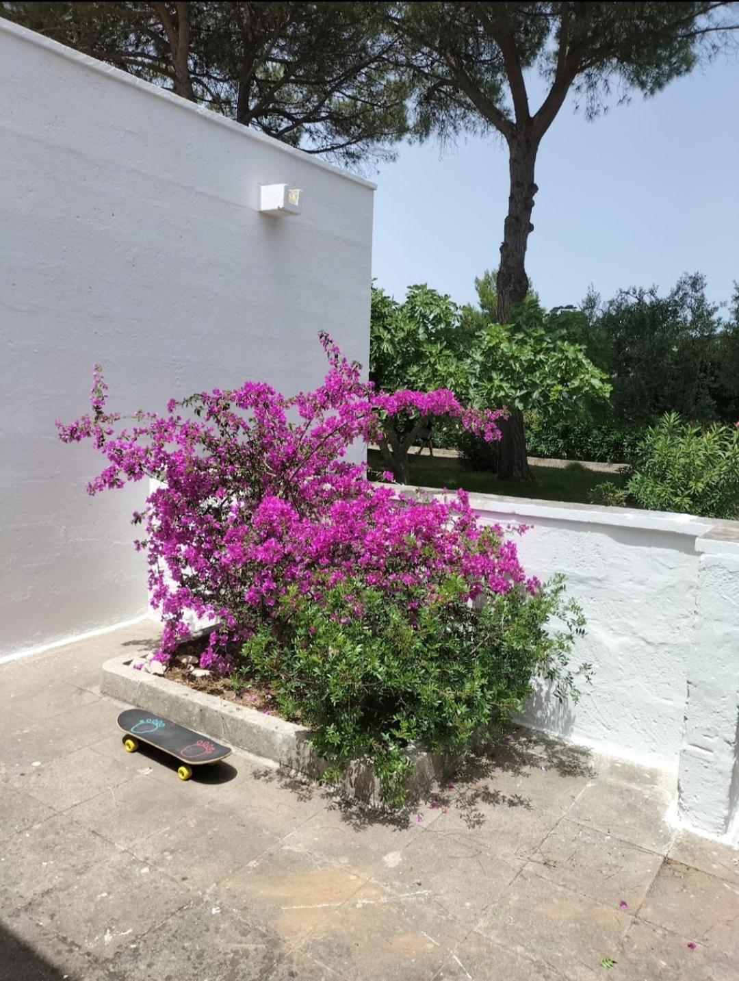 Villa Casa Azzurra à Conca Specchiulla Extérieur photo